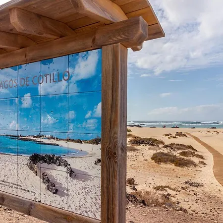 Flatguest Cotillomar Volcano