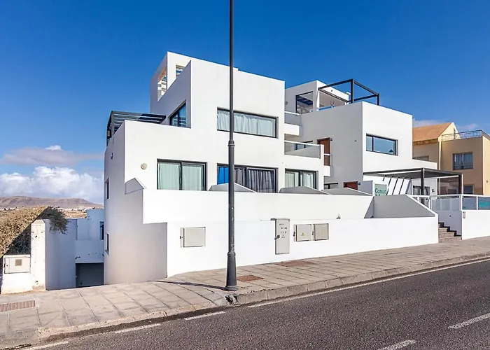 Flatguest Cotillomar Volcano