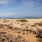 Flatguest Cotillomar Volcano Cotillo