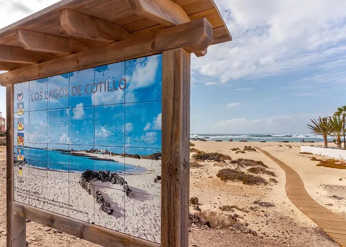 Flatguest Cotillomar Volcano