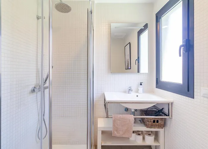 Flatguest Cotillomar Volcano